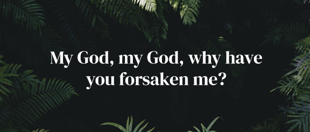 6thpsalmsundaylentcyclea26